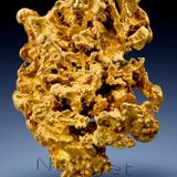 Nugget