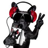 TONYD CRUISEFM SUNDAYS 9PM/THURSDAY EVENINGS ON JFSR.CO.UK/CLACTONSOULWEEKENDER