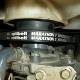 MARATHON 1 -------imun-------