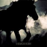 THE BACK HORN/ザ・バックホーン Ballads Mix
