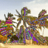 Coconuts (November 2014)