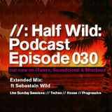 Half Wild: Podcast // Episode 030 // Sebastian Wild: Sunday Sessions