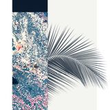 FLAMINGO XXII / Adunanza
