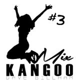 KangooMix 3