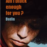 Am I black enough for you? (only vinyl)