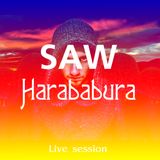 SAW - Harababura