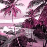 Ibiza Sexy Electro Dance Soulful Lounge & Chillout Music Moods