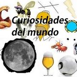 Programa del 28-Marzo-2014