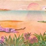 Brasil Spins - Waxist Selecta