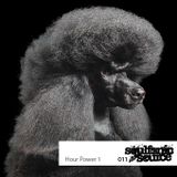 Episode 011 – Hour Power 1