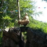 Roby M Rage - In the woods @Mandstock Festival