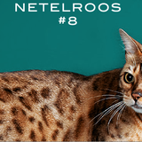 NETELROOS 8