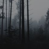 November Mix