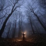 Visions of Eden