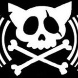 Sanguine Soul Guest Mix - Tinker 30Jan2011