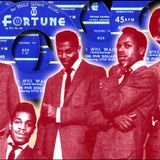 Howling Moon Records Presents Wild Al Hotchkiss - A Tribute To Fortune Records!