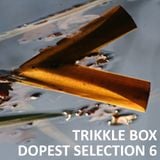 Trikkle Box - Dopest Selection 6