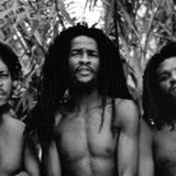 Itals 1983 Amherst with Roots Radics Complete Show SBD