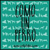 22 de Agosto en Como Un Perro