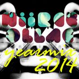 Best of 2014 Ultimate Electronic Music Yearmix by NIIRCEOLLAE