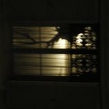 Nocturne_