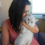 M&C - Bazi sevdigimiz bizim parcalarimiz 5 - In The Memory of Minik(Our cat)