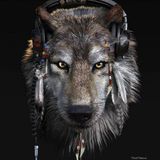 “Guaba Next Gen Dj Competition 2014” (Cosma)