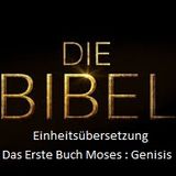 Die Bibel - Einheitsübersetzung - Das erste Buch Mose - Das Hörbuch - CD 1