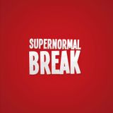 SUPER NORMAL BREAK #2013
