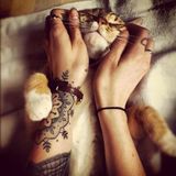 Catnip