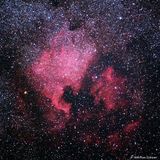 COSMIC shit
