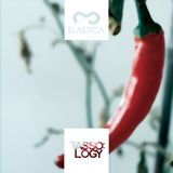 BASSOLOGY PODCAST | 10.05.2014 feat. INSINTESI "Elastica Records Culture Clash Guest Mix"