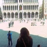 Brussels Pedestrian Zone