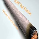 Mr. Bruckshut - "Spliff Tail Riddim (2013) Mix"