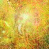 Psy Forest Trance - Tra-Fx mix