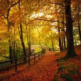 Jason Manason - Octobermix
