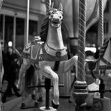 Club Bizarre - L'été du petit cheval