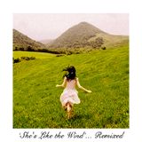 She's Like The Wind (House Remix Mix)