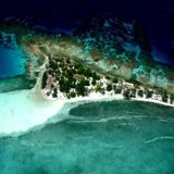 Un Trip al Cayo