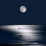 Fill - Moonshine