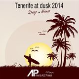 ALEZ Piranessi - Tenerife at dusk 2014
