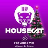 Deep House Cat Show - Pre-Xmas Mix - with Alex B. Groove