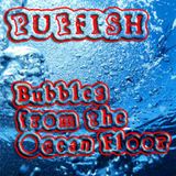 Bubbles from the Ocean Floor
