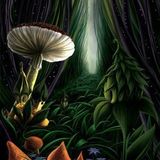 Lost in Chillwoods 03