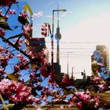 Podcast Spring 2016 mixed by Frank BPM