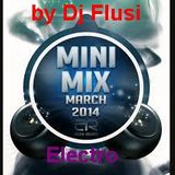 Electro Mini Mix 2014 by Dj Flusi