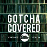 Sureshot Symphony Solution - Gotcha Covered