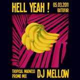 DJ Mellow - Tropical Madness Promo Mix (02-11)