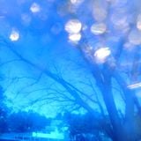 winter blues