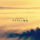 More than a feeling